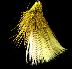 Feathers on the hook for fishing on a black background