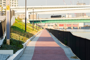 Obraz premium 豊洲ぐるり公園 Toyosu Gururi park