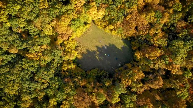 Aerial drone 4k movie. Man riding his bicycle in a forest lawn, clearing