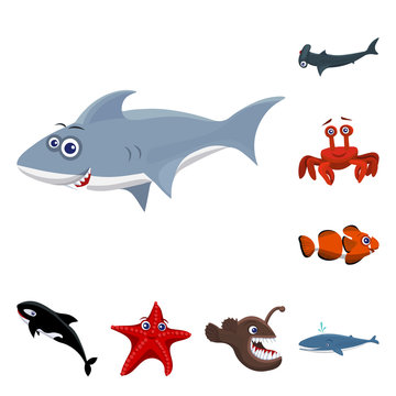 Vector design of sea and animal logo. Collection of sea and marine stock symbol for web.