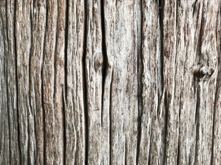 The Nature old wooden surface, Abstract of wooden textured