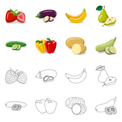 Vector illustration of vegetable and fruit sign. Collection of vegetable and vegetarian stock vector illustration.