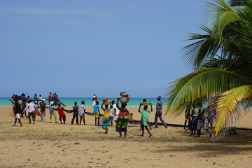 Team work: fischermen catch up net at the beach of togo - obrazy, fototapety, plakaty