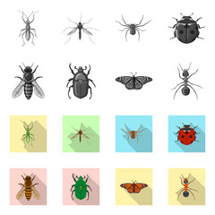 Vector illustration of insect and fly icon. Collection of insect and element stock vector illustration.