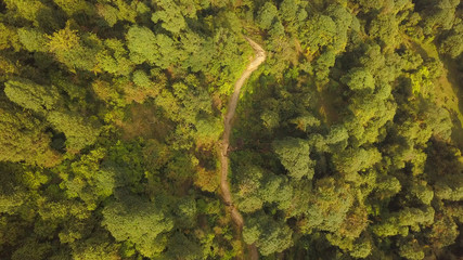 Path way in the forest,aerial view from the drone