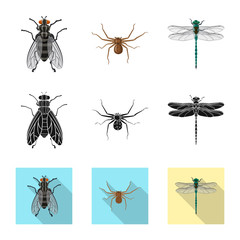 Isolated object of insect and fly sign. Collection of insect and element stock symbol for web.