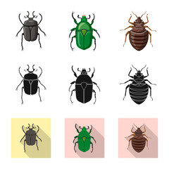 Vector illustration of insect and fly icon. Collection of insect and element vector icon for stock.