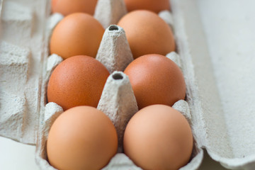 Brown eggs in the box isolated on white background.