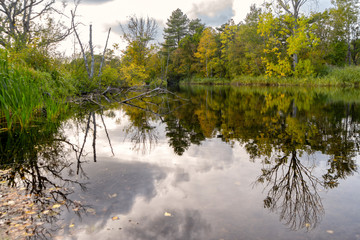 Teich im Dünenreservat bei Bergen in Nordholland an einem Herbsttag