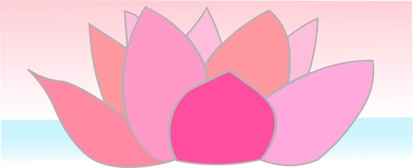 Seerose, Erfüllung, Spiritualität, Ausgeglichen, Liebe, Leben, Blume 