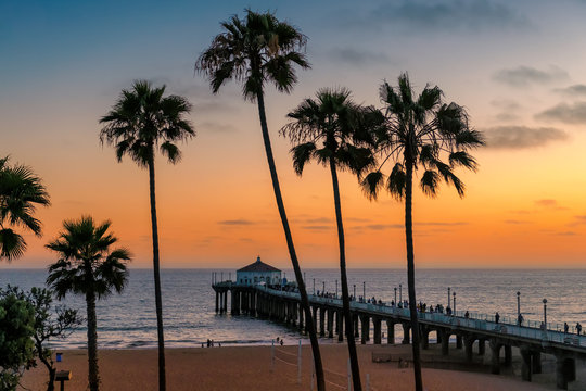 California beach. Palm trees on Manhattan Beach at sunset in Los Angeles, California, USA. 