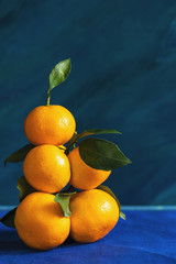 Hight pile of yellow mandarins with leaves is lying on blue background.