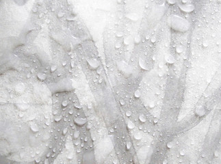 Abstract Textured White and Wet Background