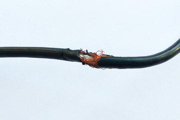 Damaged black electric cord on white background. Dangerous broken power electrical cable - 237134811