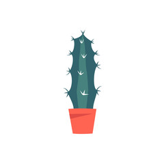 hand drawn succulent, cactus plant growing in color pot Natural home decoration. Colored vector illustration