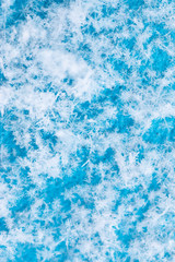 Fototapeta na wymiar snowflakes on a blue background