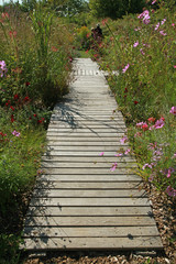 Allée en planches de bois