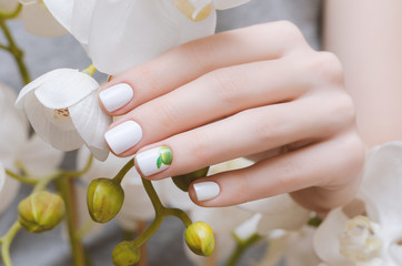 Female hands with white nail design holding white orchid.