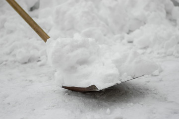 Shovel stuck filled with snow at winter cleaning after snowdrift
