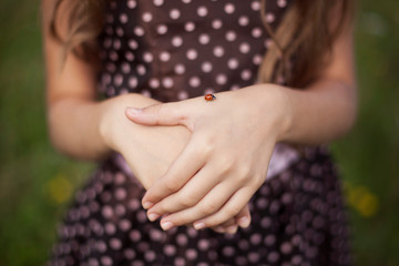 Fototapeta premium Mała biedronka na delikatnych kobiecych dłoniach w letni dzień zaraz odleci.