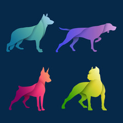 Dogs in the gradient. Color Vector Dogs illustration. Set dog gradients
