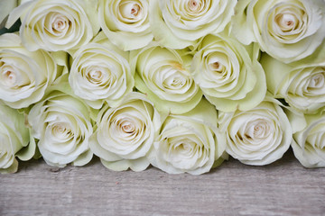 White roses on wooden background