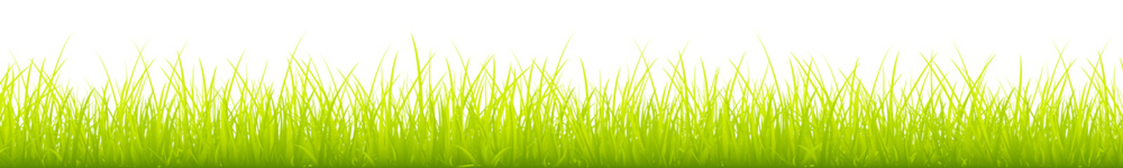 Obraz premium Light Green Meadow Banner