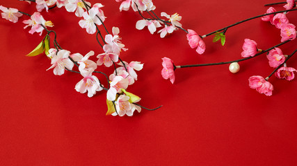 chinese new year festival plum flowers