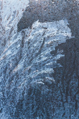 Painted developed frosty patterns on the winter ice window