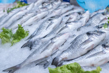 Sea bass and sea breams on ice on supermarket seafood display