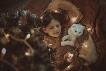 Cozy girl and cat are under Christmas tree, dark