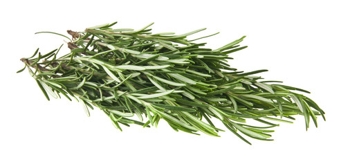 rosemary isolated on white background