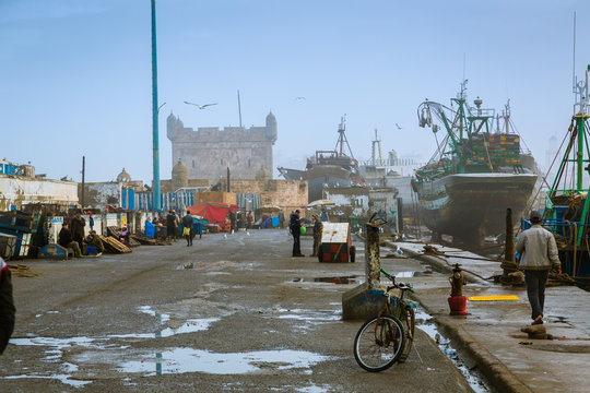 In the old fishing port of Essaouira.