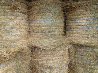 Six Stored Hay Bales with Blue String