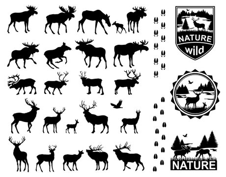Set of Horned Animals Silhouette Collection Deer Stag Moose Cervidae Elk
