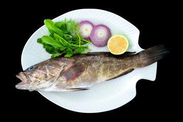 Mediterranean golden grouper fish with rockets leaves served on white plate