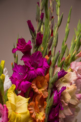 Bunch of beautiful multicolored gladiolus flowers. Bloom, romance.