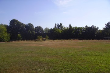 Field
