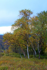 mountain natural scenery