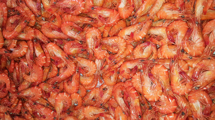 shrimp background  for sale on the market