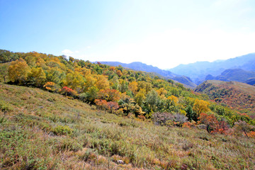mountain natural scenery