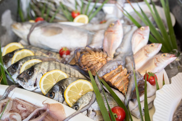 Fototapeta na wymiar Lobster, octopus, cuttlefish, squid, calamari, red mullet, grouper, sea bass, sea bream, bogue fish, crab and prawns on ice at supermarket