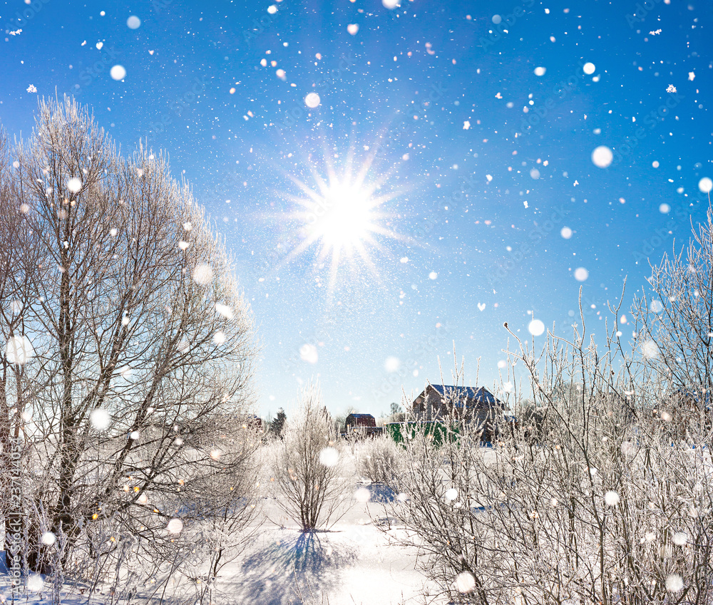 Sticker winter landscape with forest, snow and blue sky