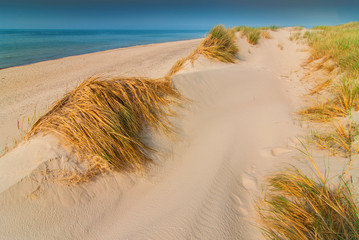 Desert landscape in Slowinski National Park, Poland.