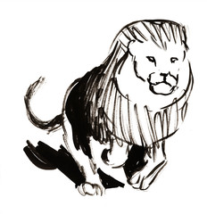 Lion running drawing black white 