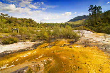 Colourful silica terrace formed by hot water algae growing in the geothermal area of Orakei Korako (The Hidden Valley), Northern Island, New Zealand.