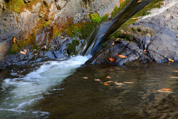 rock and creek