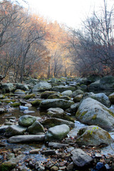 rock and creek in a geological park