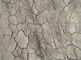 Cracked and Dry EarthTextured Background