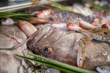 Lobster, octopus, red mullet, boops boops, sea bass, sea bream, white grouper, prawns and various fresh seafood and fishes in fish market
